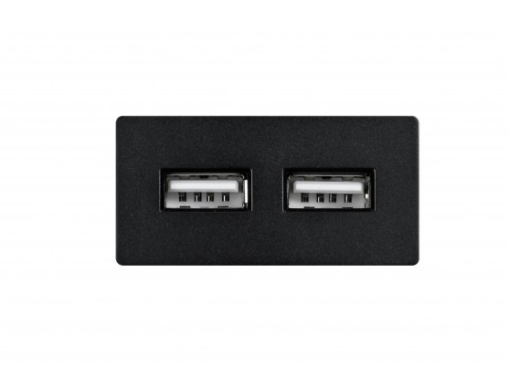 Модуль в рамку 2 USB-порта 2.4A черный (1/2)